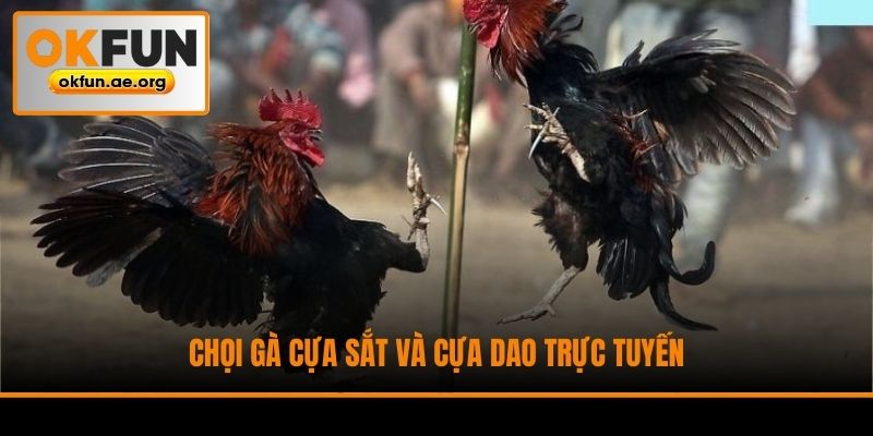 Chọi gà cựa sắt và cựa dao trực tuyến