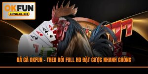 Đá Gà Okfun - Theo Dõi Full HD Đặt Cược Nhanh Chóng
